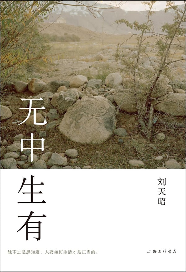 《无中生有》封面