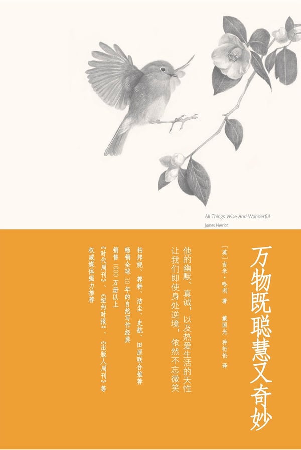 《万物既聪慧又奇妙》封面