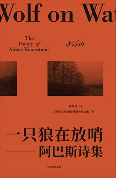 《一只狼在放哨》封面